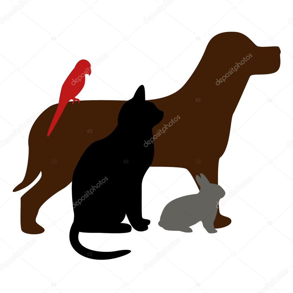 Ícono de mascotas
